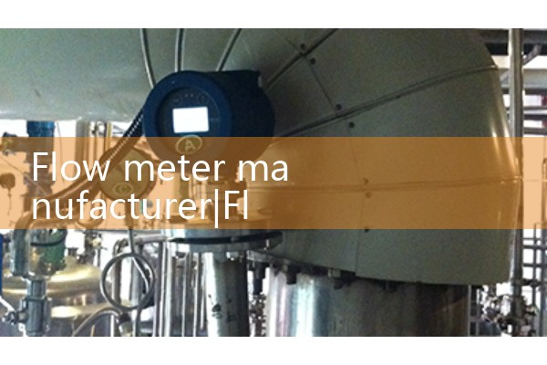 Flow meter manufacturer